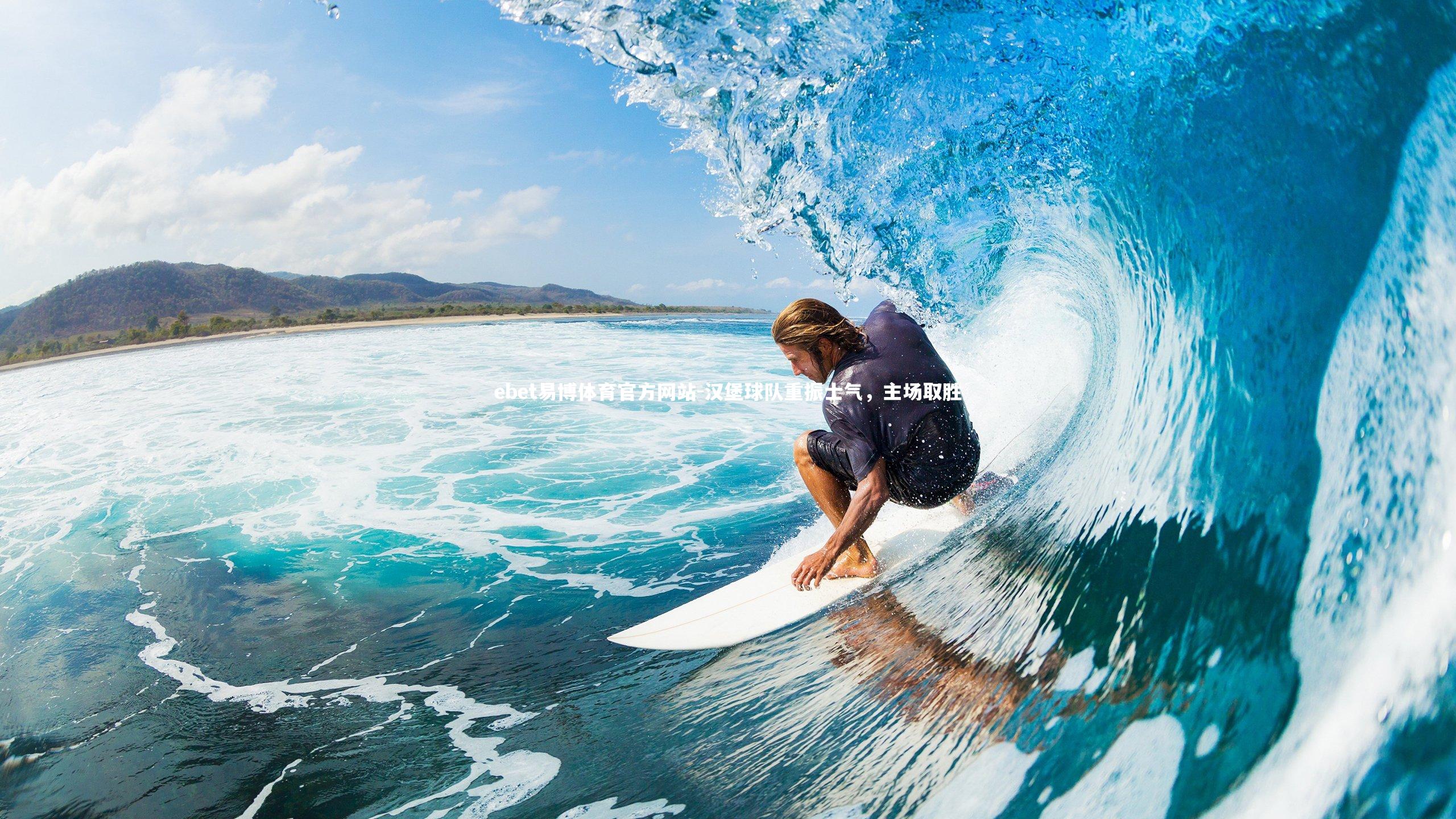 ebet易博体育官方网站-汉堡球队重振士气，主场取胜-第1张图片-ebet易博体育官方网站